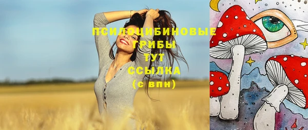 прущие крисы Баксан