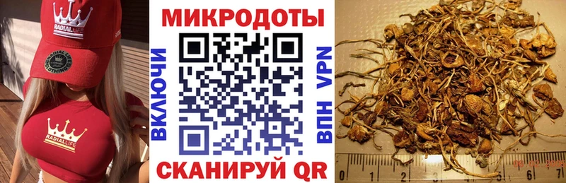 нарко площадка телеграм  МЕГА tor  Тосно  Псилоцибиновые грибы ЛСД 